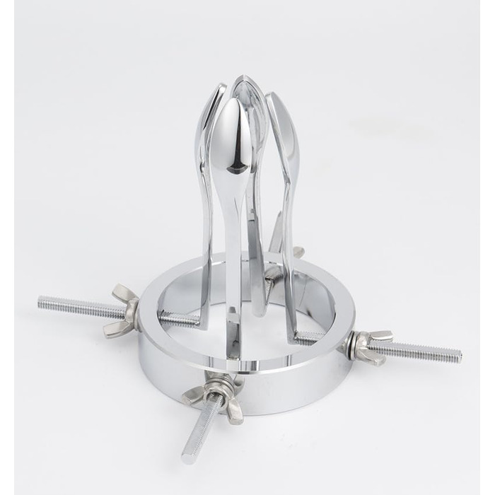 Анальний дилататор ZYDHHP з набором 6 шт. для вагінального та анального застосування (4 шт.)