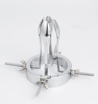 Анальний дилататор ZYDHHP з набором 6 шт. для вагінального та анального застосування (4 шт.)