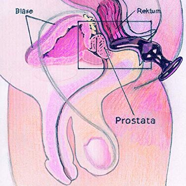 Скляний дildo GlassVibrations GV-Plugy № 01