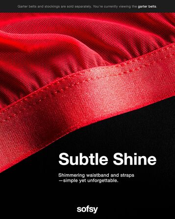 Чулки-шкарпетки Softy 15 Den Whisper-Soft Glitter для жінок | Прозорі блискучі панчохи для літа | Зручність на весь день, делікатна розкіш, пояс для панчіх Roter Netzstrumpfgürtel XXL