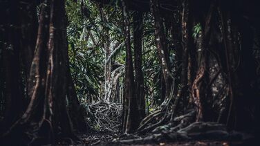 Реалістичний дилда з силікону Fleshlight Freaks Predator, 22.5 x 5 см