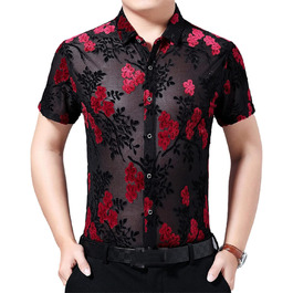 колір: гниль