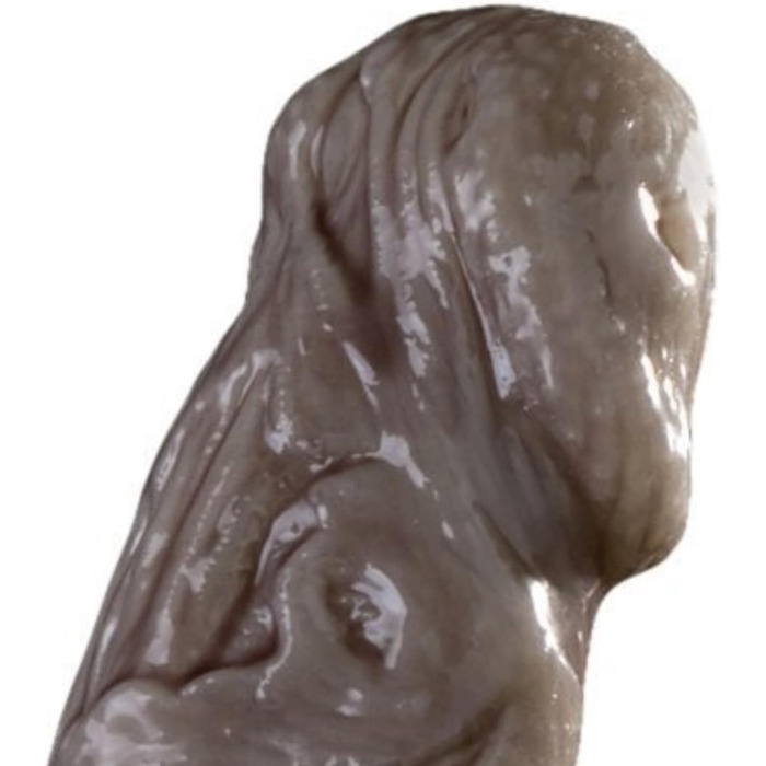 Fleshlight Freaks Zombie - реалістичний секс-іграшка з міцного силікону, 20,5 x 4,5 см