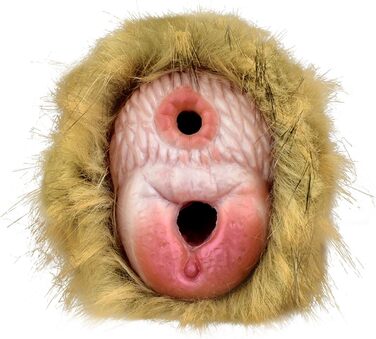 Реалістичний мастурбатор для чоловіків з анатомічною вагіною та анальним тунелем, великий, монстр